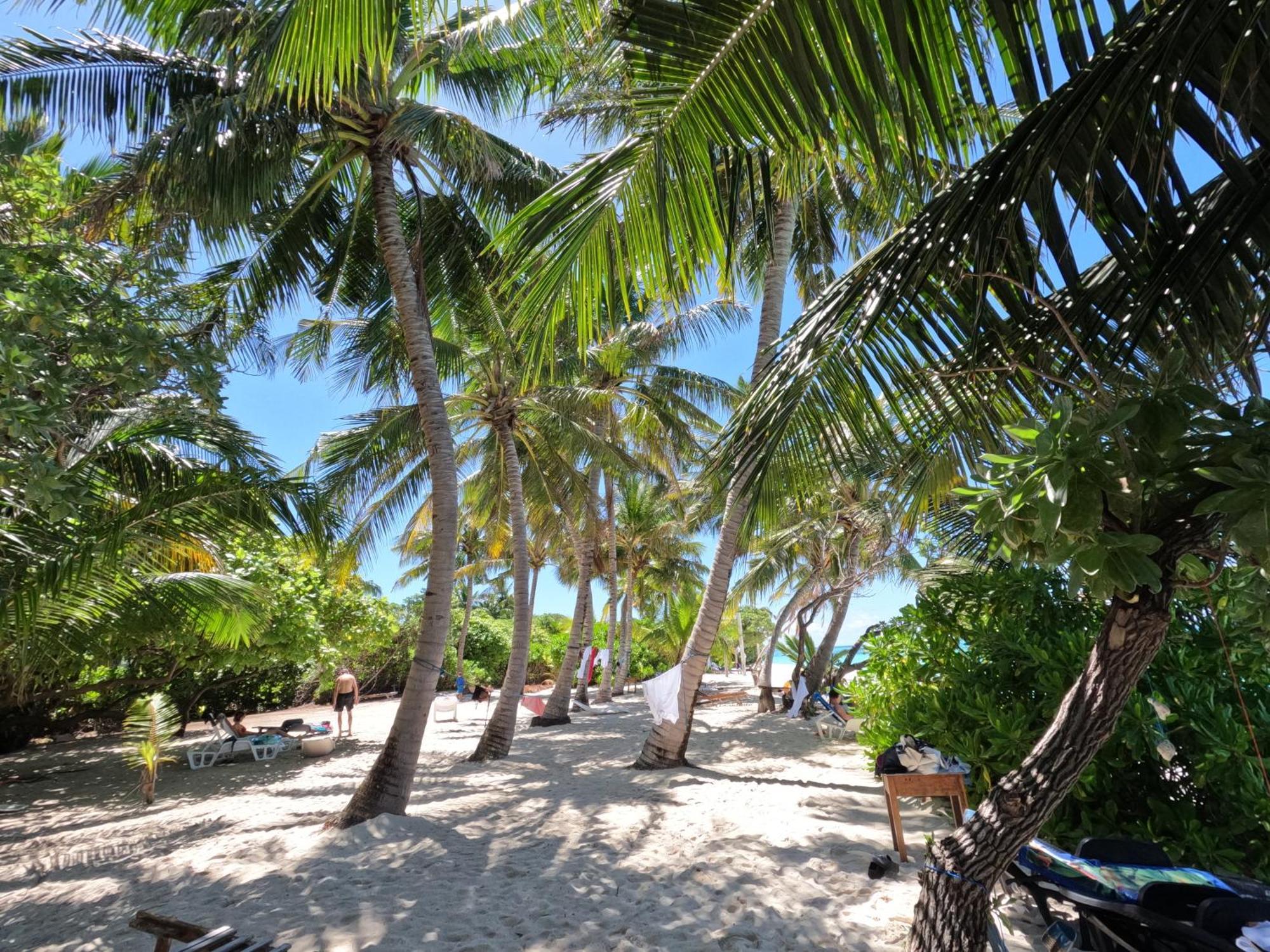 Blue Water Thoddoo Inn Quarto foto